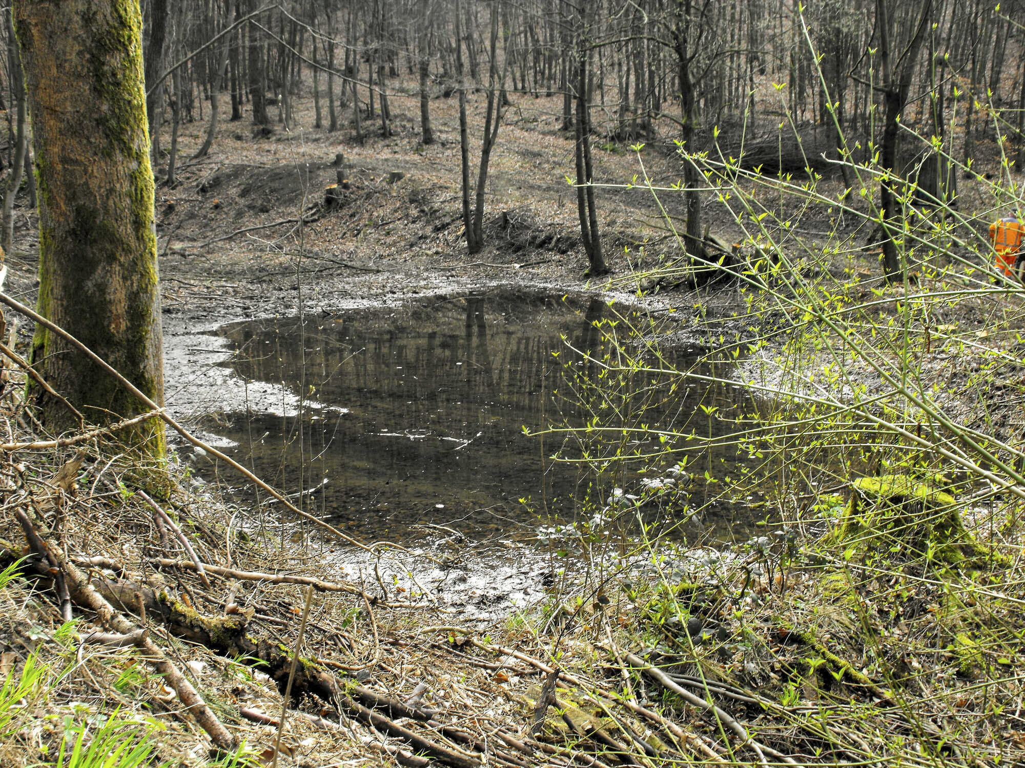 Trinkwasserschutz im Harz AFZ DerWald 12024