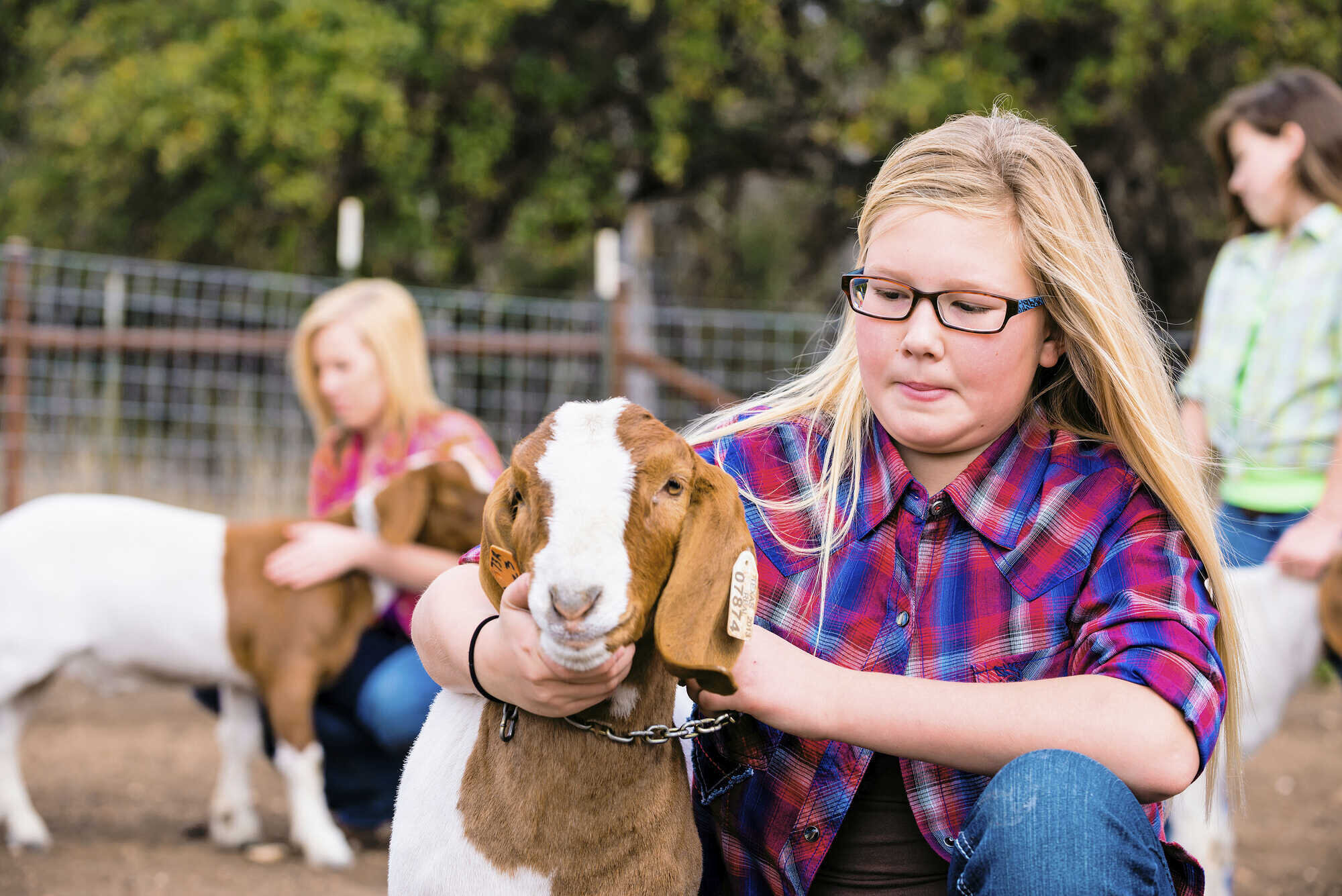 Bildungsarbeit: Landwirtschaft macht Schule - agrarheute 10-2022