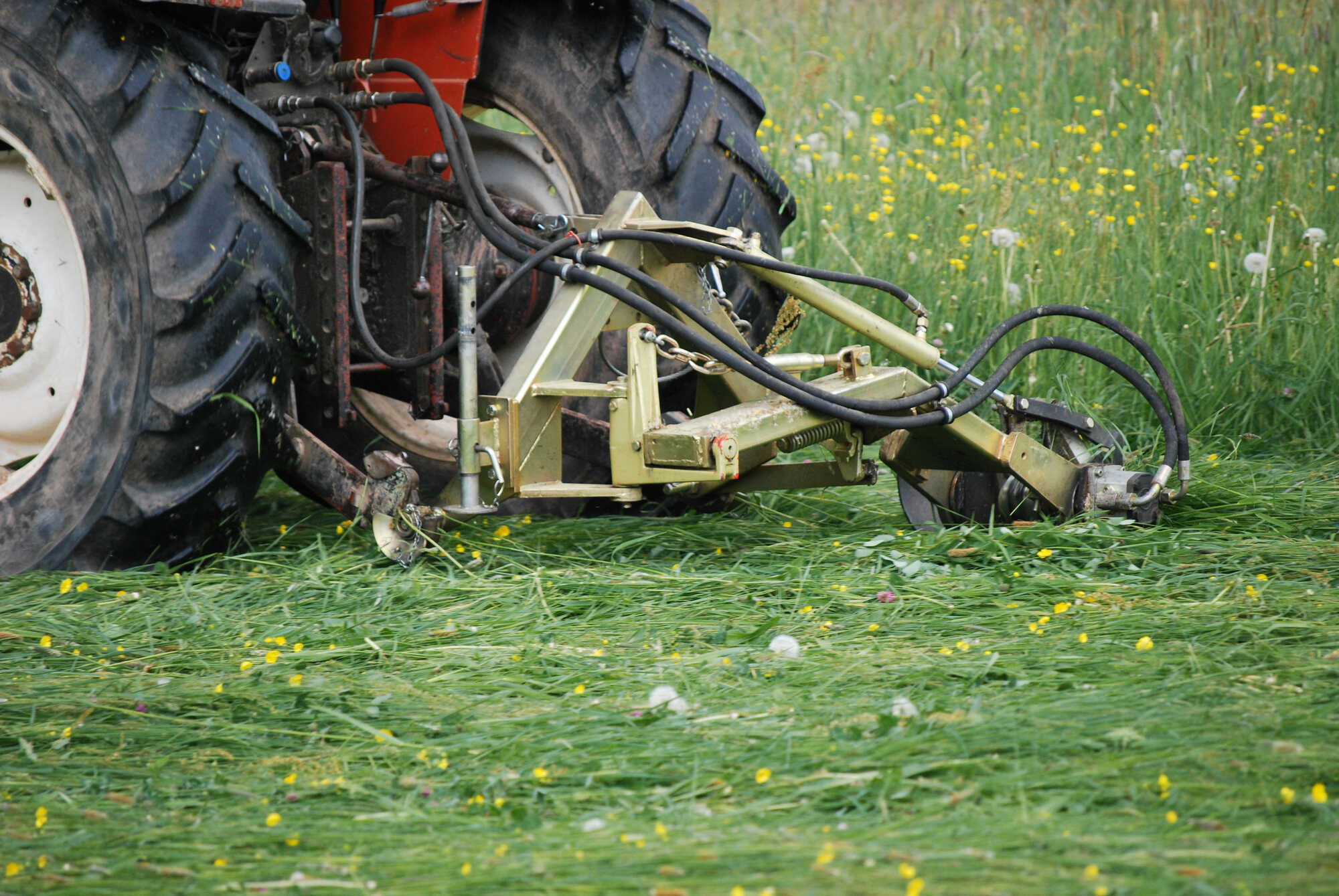 Mit dem Messerbalken mähen Bayerisches Landwirtschaftliches Wochenblatt 22024 Mit dem Messerbalken mähen Bayerisches Landwirtschaftliches Wochenblatt 22024