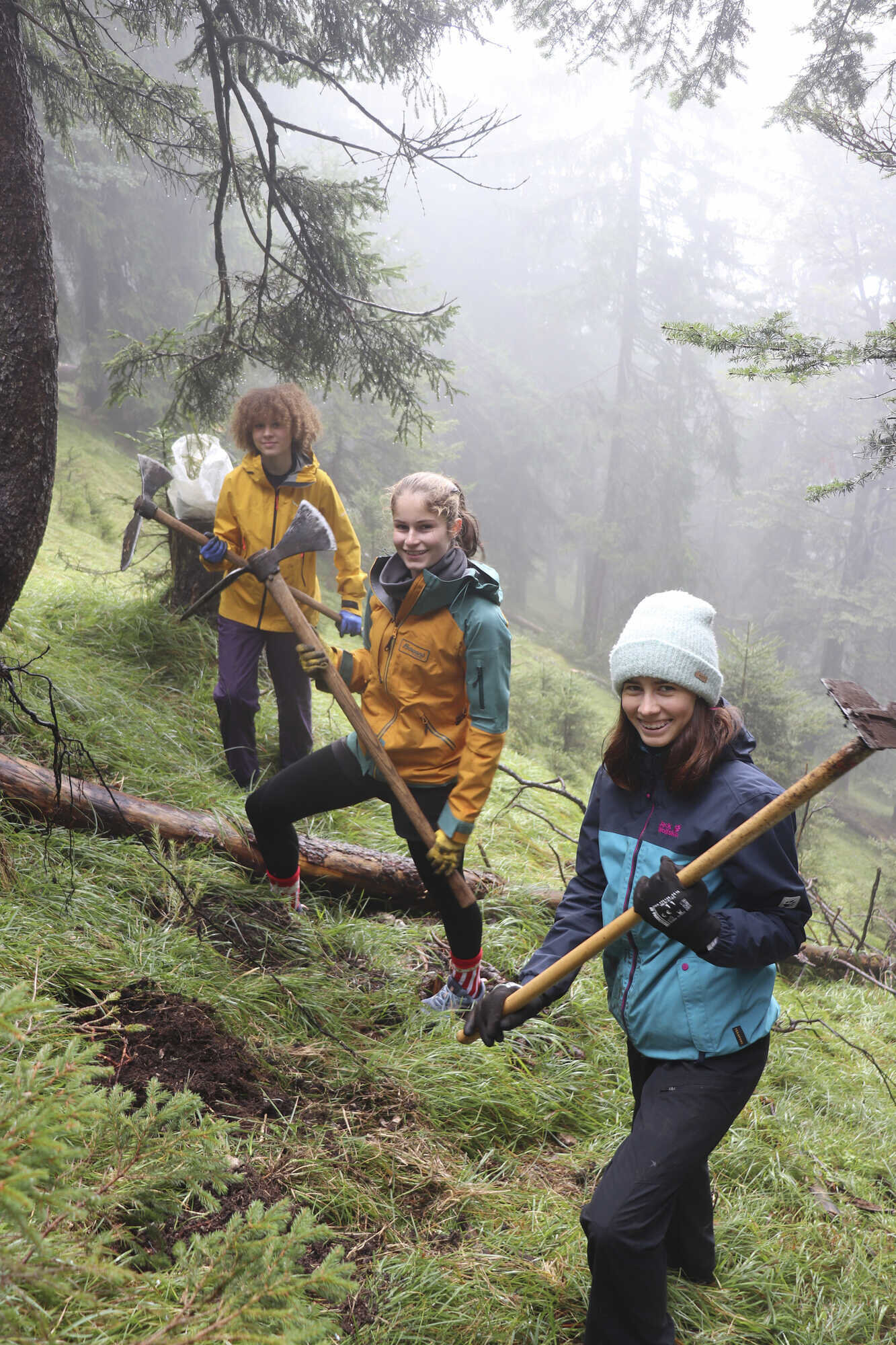 Bäume pflanzen für einen Schutzwald mit Zukunft - Bayerisches ...