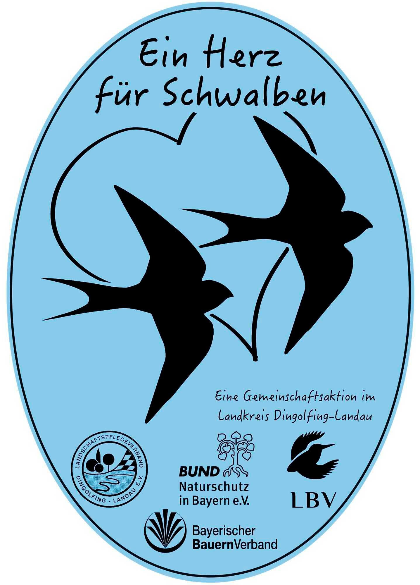 Der Rinderstall als Lieblingsnistplatz - Bayerisches ...