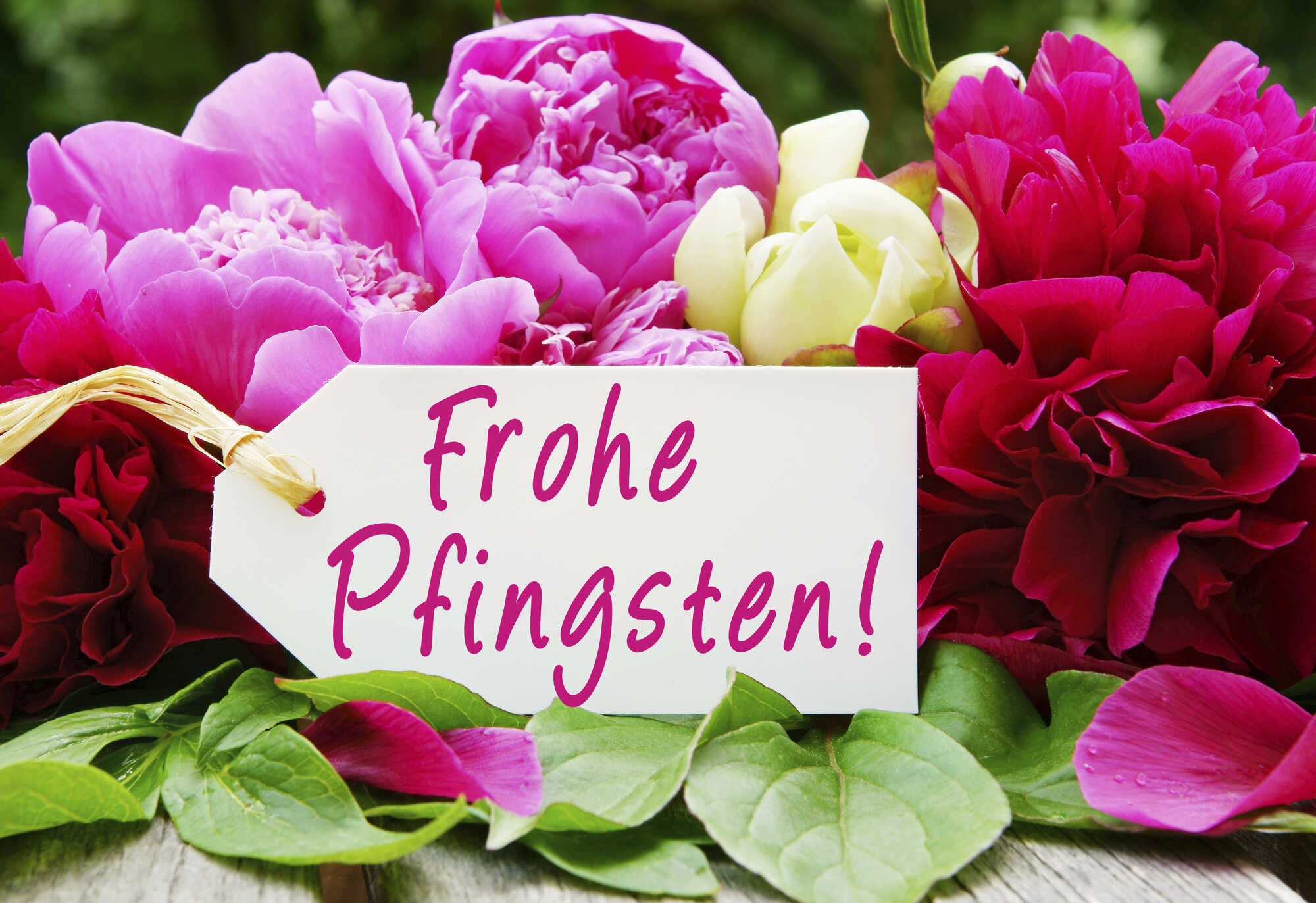 Bild Frohe Pfingsten: A Guide to Understanding and Celebrating the Feast of Pentecost