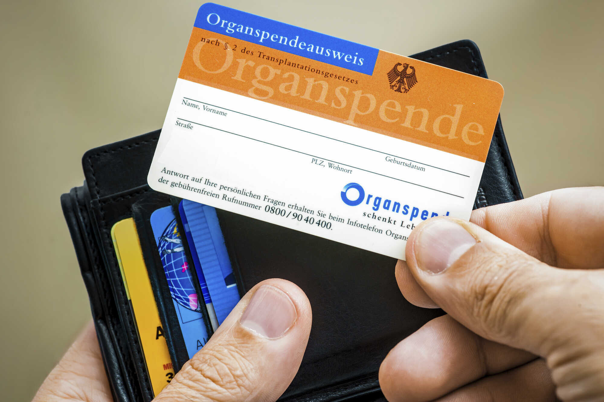 Lebensrettender Organspender sein - LAND & FORST 16-2024
