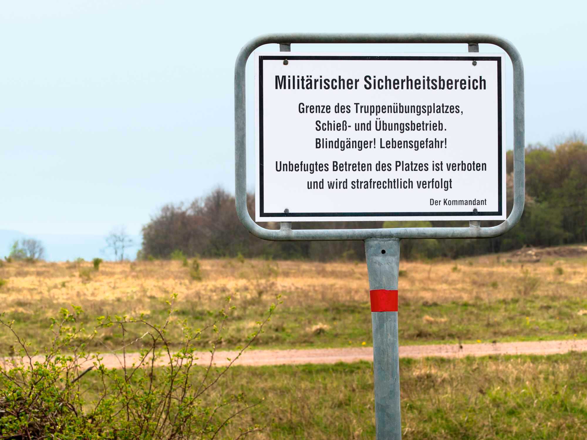 Illegaler Wolfstourismus: Wolfsfreunde stellen den Großräubern auf ...