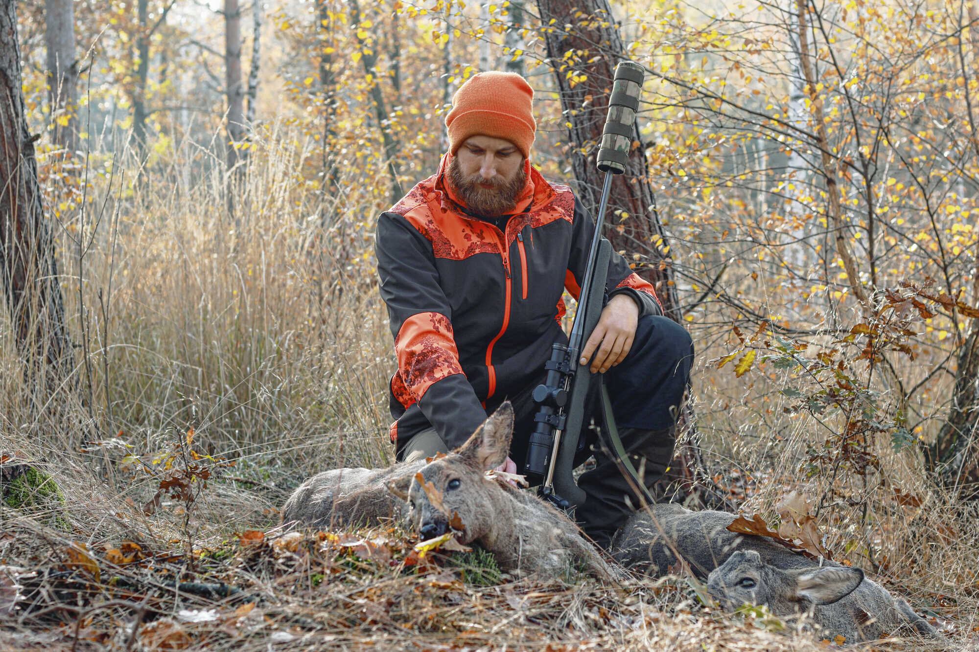 Sind unsere Jagdzeiten zeitgemäß?&nbsp; - PIRSCH 2-2023